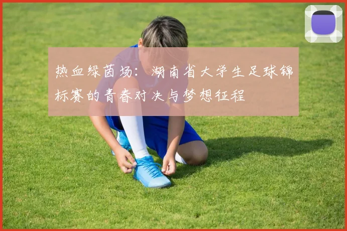 热血绿茵场:湖南省大学生足球锦标赛的青春对决与梦想征程