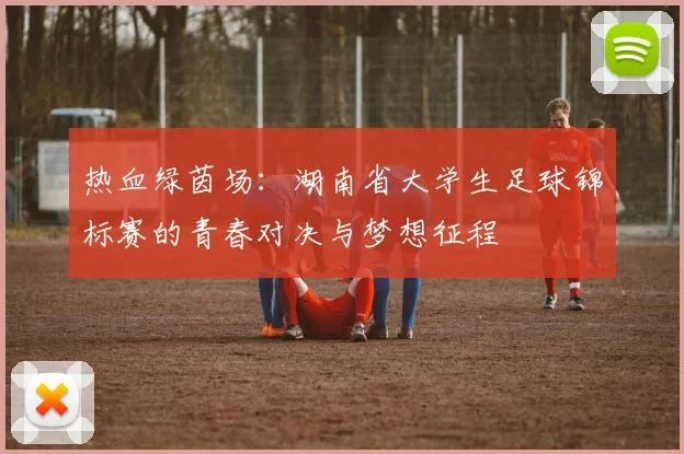 热血绿茵场：湖南省大学生足球锦标赛的青春对决与梦想征程